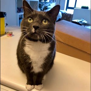 Meet your Posher, Michelle